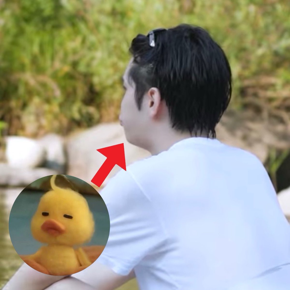 taelsooj's tweet photo. You will always be a Little Duck https://t.co/Iw8AZK9bad