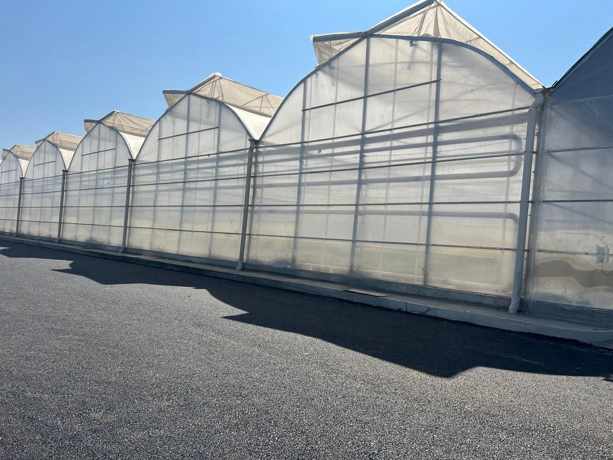 FarmsManager's tweet photo. 🌍 Notre expertise au service d’une agriculture africaine performante, durable et technologiquement avancée. 🌱

🚀 Hydroponie | Serres High-Tech | CEA | Smart Farming
🌍 Afrique | Europe | Canada | Golfe
#Africa #AgTech #Hydroponics #CEA #SmartFarming #Agriculture #FutureFarming https://t.co/7S2wpMsN5J