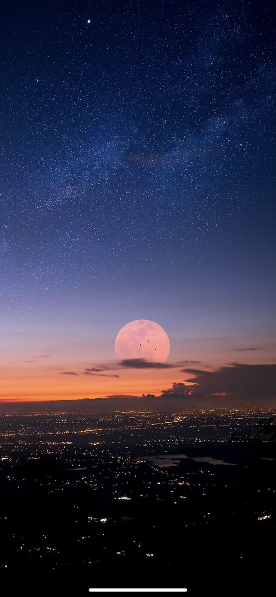 natures_picture's tweet photo. Moon🌕 https://t.co/ka2GoPdKby