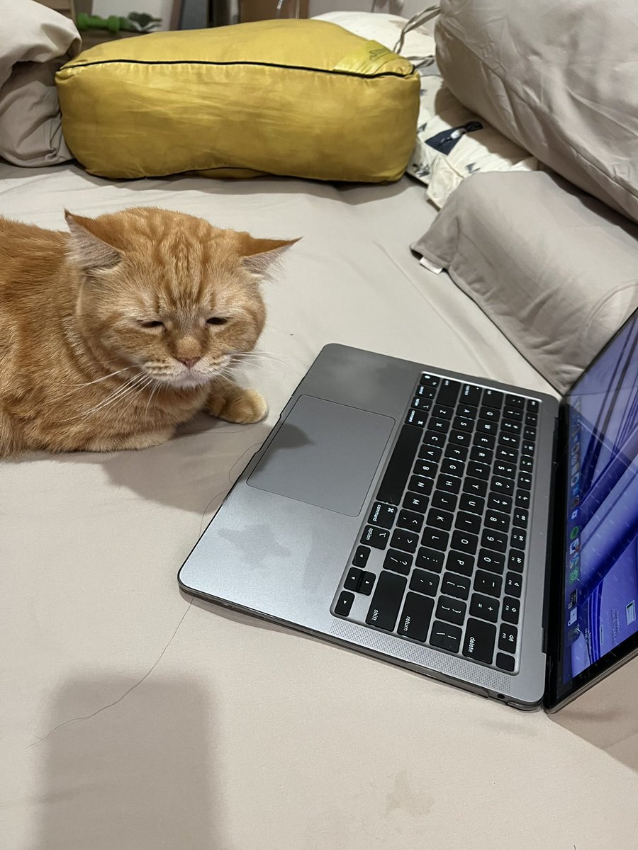 ceritadungimut's tweet photo. Maaf adung masih sibuk kerja😔☝️ https://t.co/aR6xghSTKP