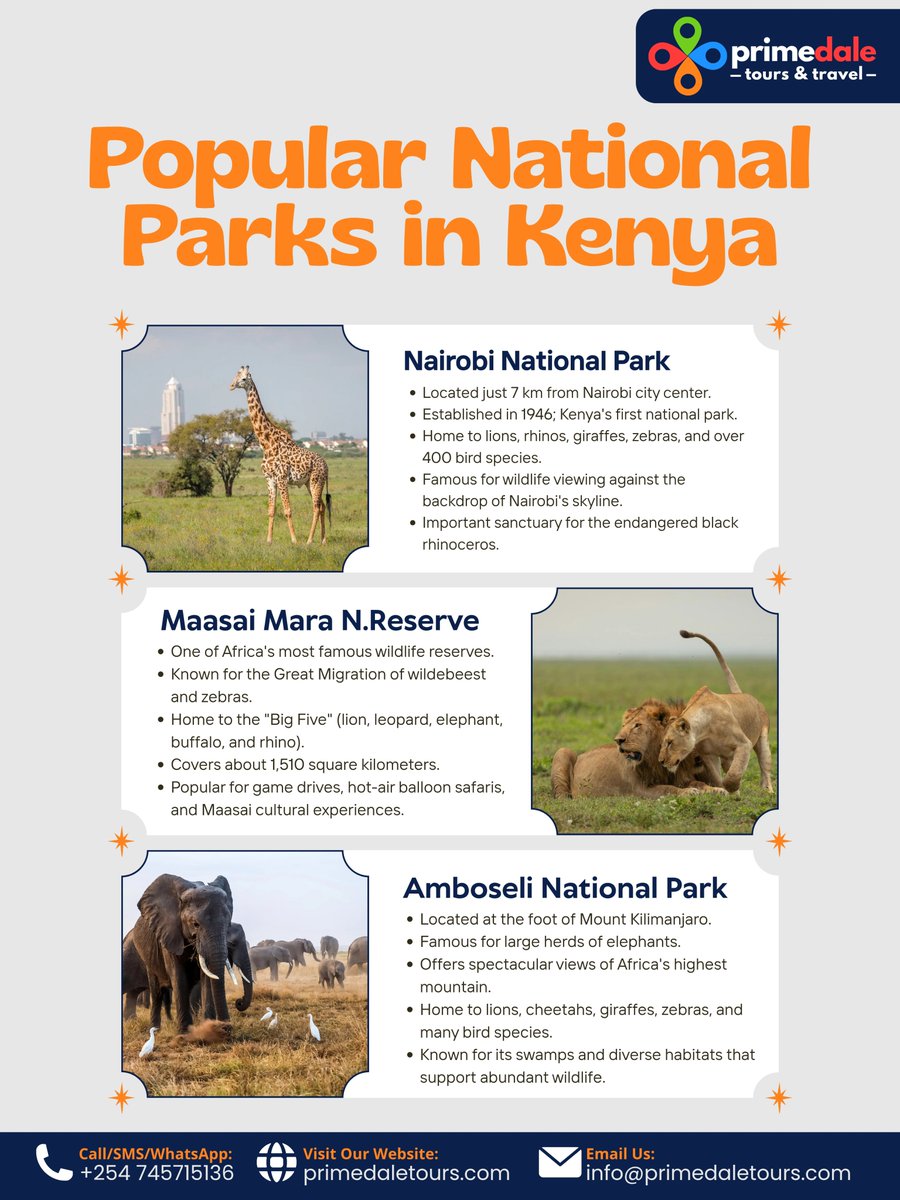 primedaletours's tweet photo. Experience the Ultimate Kenyan Safari!

From the Big Five to Amboseli's iconic elephants beneath Mount Kilimanjaro, this is the Kenyan safari everyone should experience at least once in a lifetime.

Book your safari today with Primedale Tours and Travel. https://t.co/4MAQy06PCI