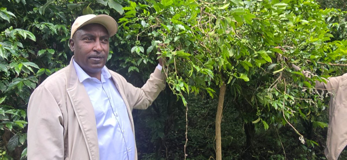zelelawv6mw's tweet photo. Fruit and vegetable yields from the Green Legacy Initiative in Debre Elias Woreda, East Gojjam Zone. https://t.co/mn4eZaPopo