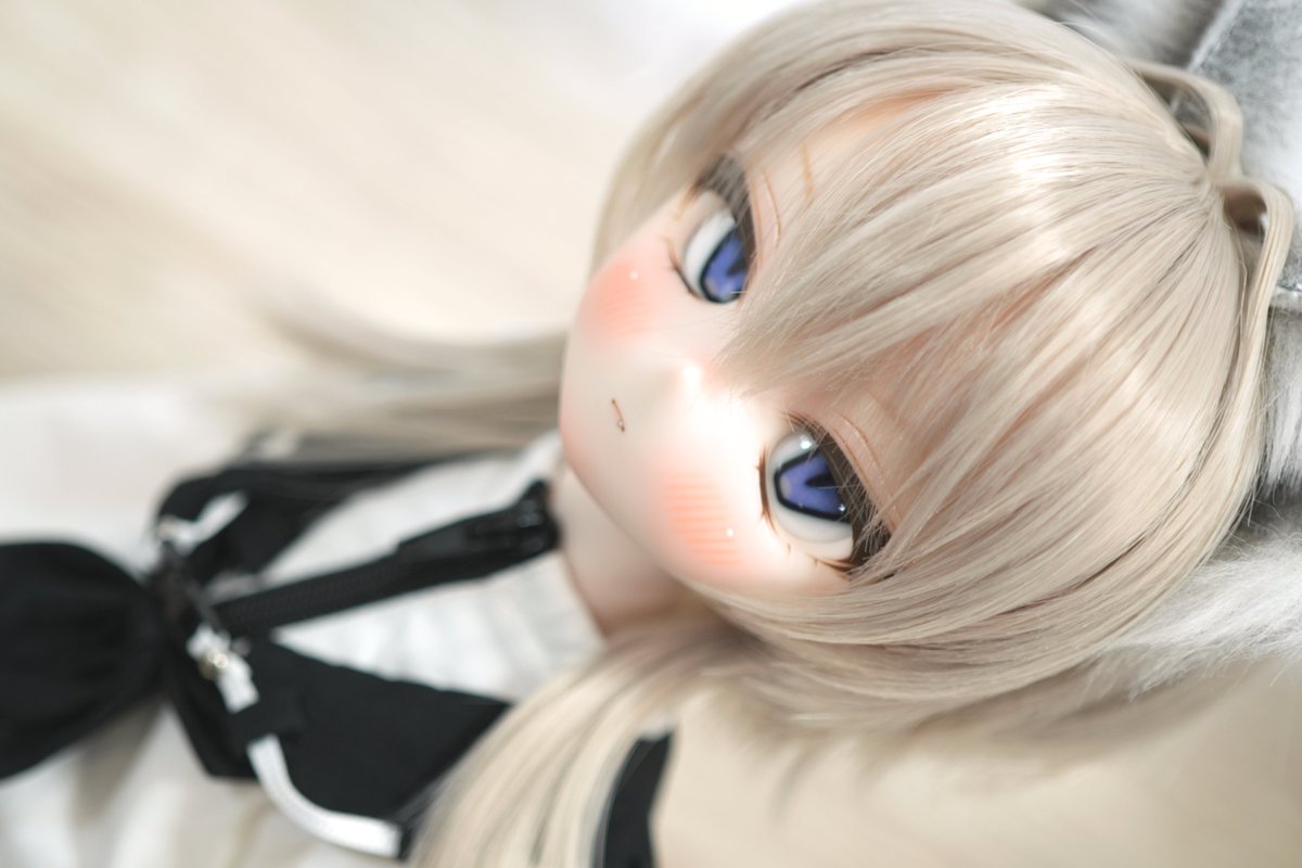 magical_atelier's tweet photo. 久しぶりに出品しました🦀
RPで拡散いただけると嬉しいです✨

クールビューティーなDDH-01番ちゃんです🩵
8/2(日)の夜10時半頃までおうち探し中です🏠!
気に入ってくれる方がいたら嬉しいです🌱
お迎えお待ちしております🌟

https://t.co/MHARrsAA7h https://t.co/DVpvHCA7Wg