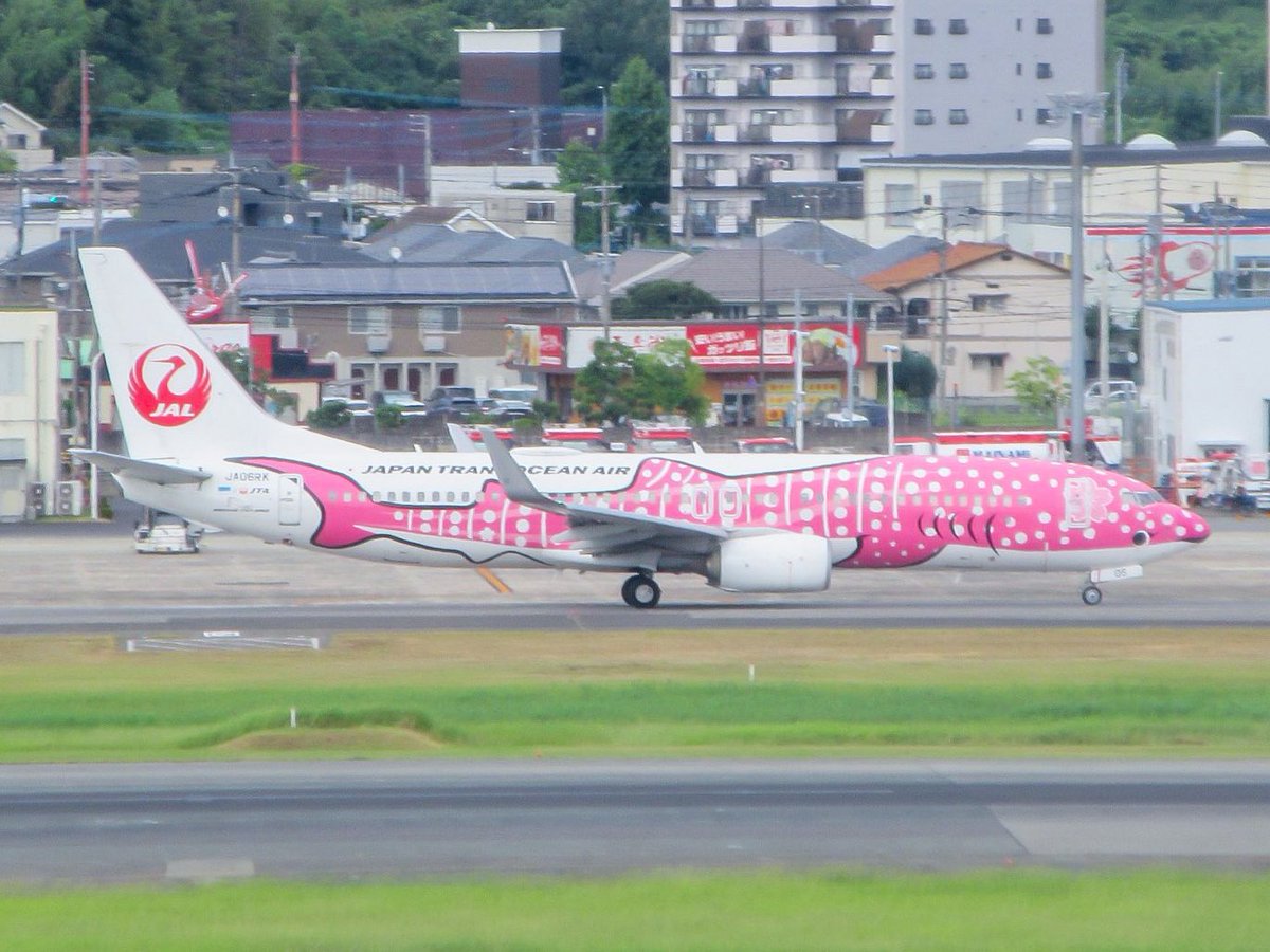 Kono_photo813's tweet photo. 今日来たJTAのジンベエさんたち

那覇線に連続3機全種類はえげつないのよ

順番も結ジンベエ、さくらジンベエ、ジンベエジェットだし…

JTAさん福岡線にこんな素晴らしい機材たちをありがとうございます https://t.co/dWUB5SGZYa