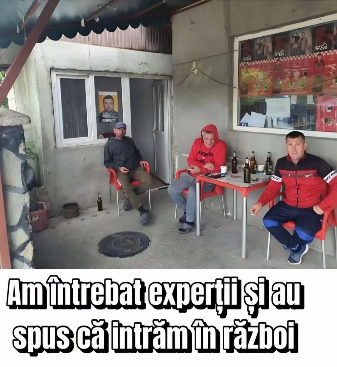 Fane Trotil tweet media
