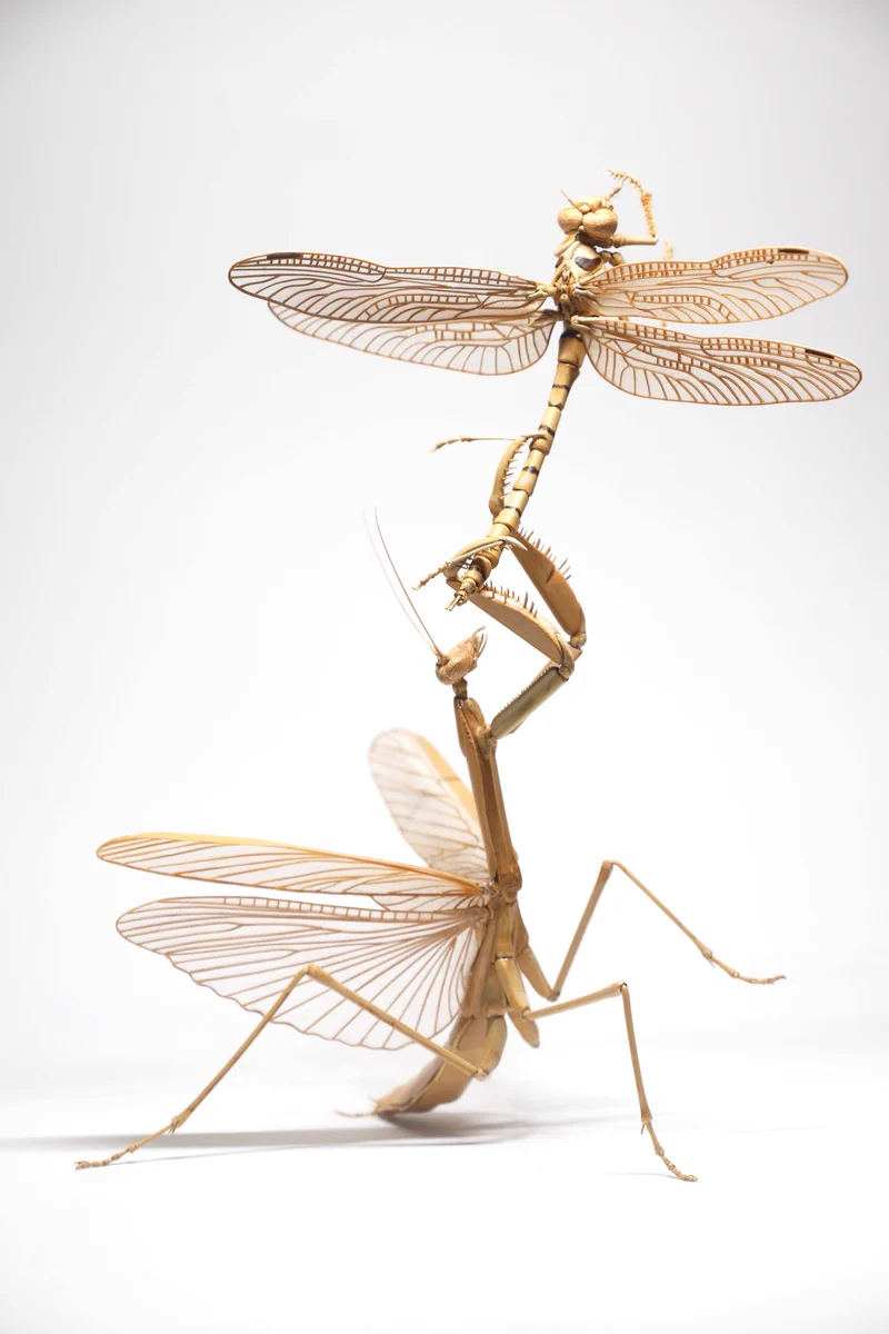 齋藤 徳幸 BAMBOO INSECTS 昆虫竹細工 on X: 