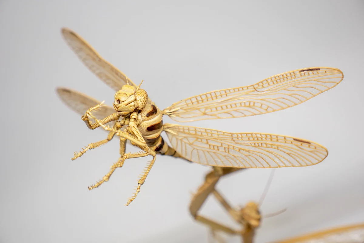 齋藤 徳幸 BAMBOO INSECTS 昆虫竹細工 (@noriji_s) / X