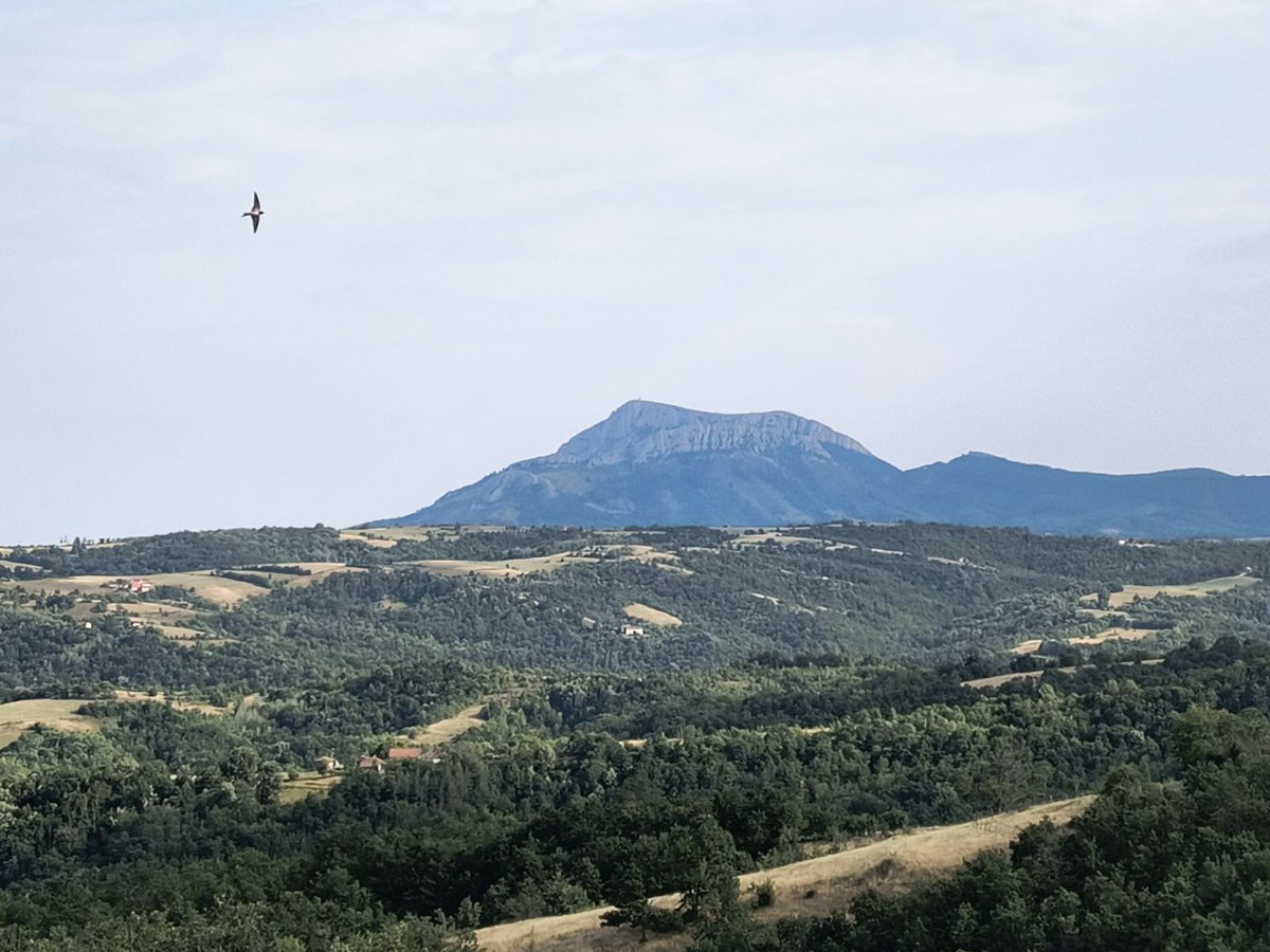 nedamnudau's tweet photo. EKSPLOATACIJA IMA ROK TRAJANJA, SLOBODA LETA NEMA!
#Majdanpek #Bor #Stol #NeDamNuDau https://t.co/JsgmVIavyQ