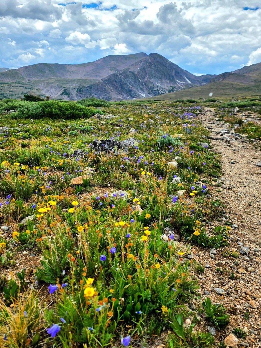 DenverChannel's tweet photo. "St. Mary's Glacier."

(📸: Loreal Angela | See more Colorado photography: https://t.co/pt5hW7IBOE) https://t.co/6PdfbsIJEp