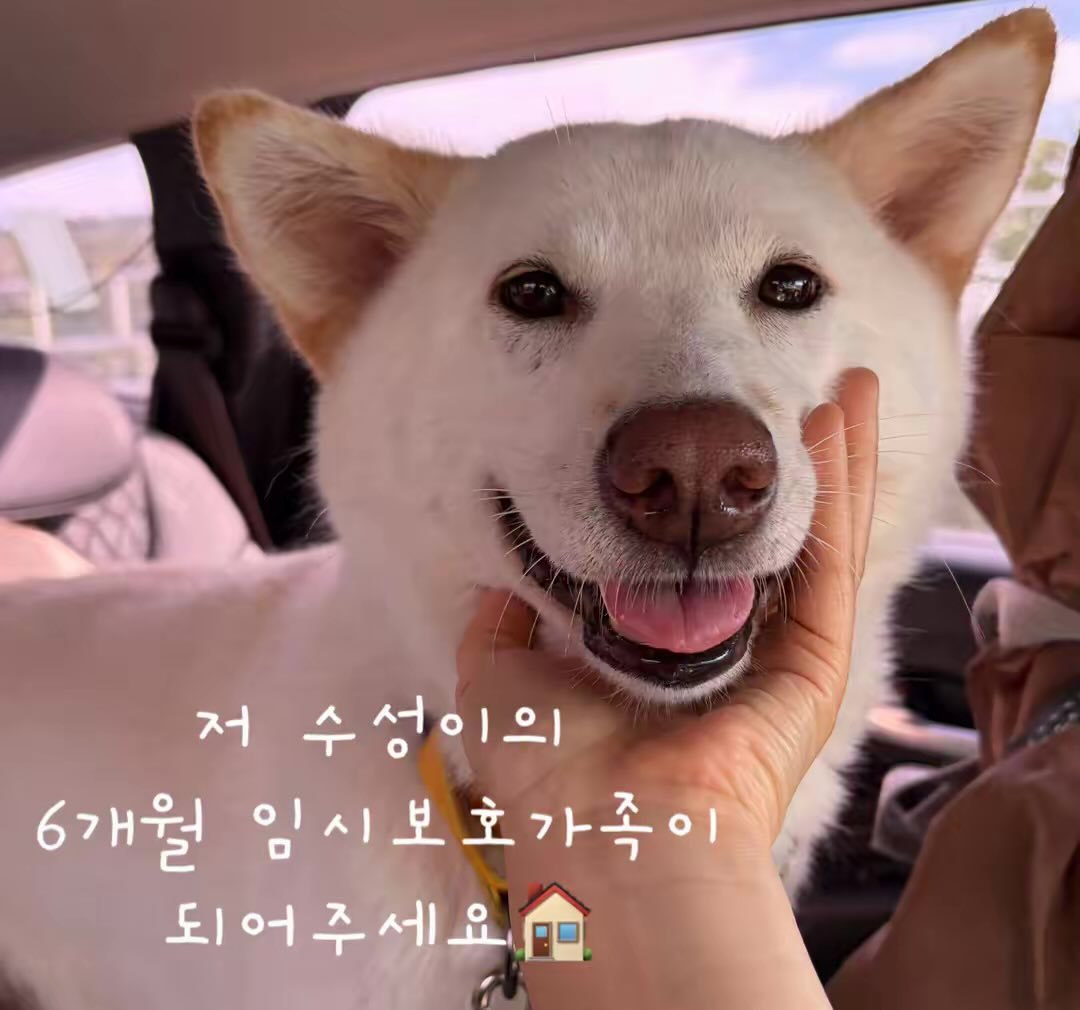 Hamokjeong's tweet photo. 또 수성이 올린다

가족 만날 때까지는 계속 올릴 거야😭🙏🏻 https://t.co/dP6TPEst0F