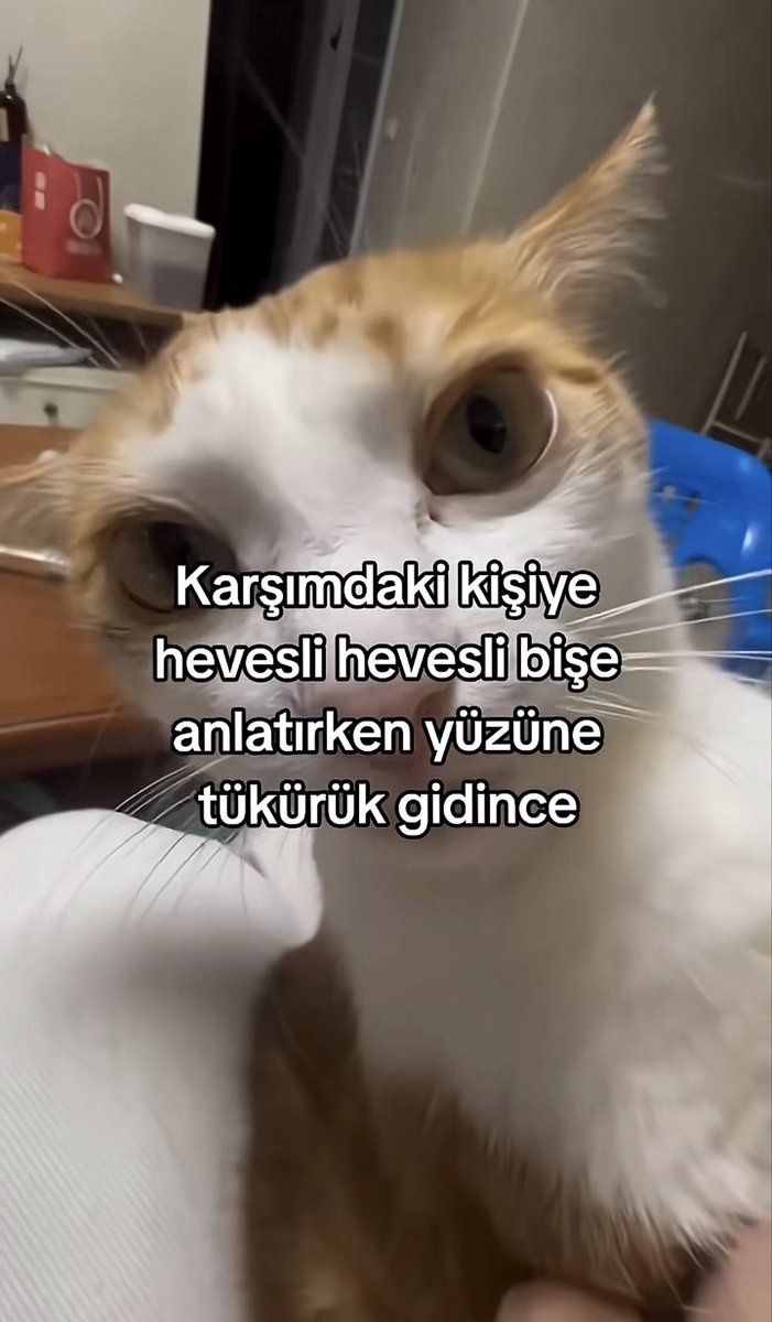 artikbisaIin's tweet photo. Hiç şaşmaz. https://t.co/CGHXl6bm2U
