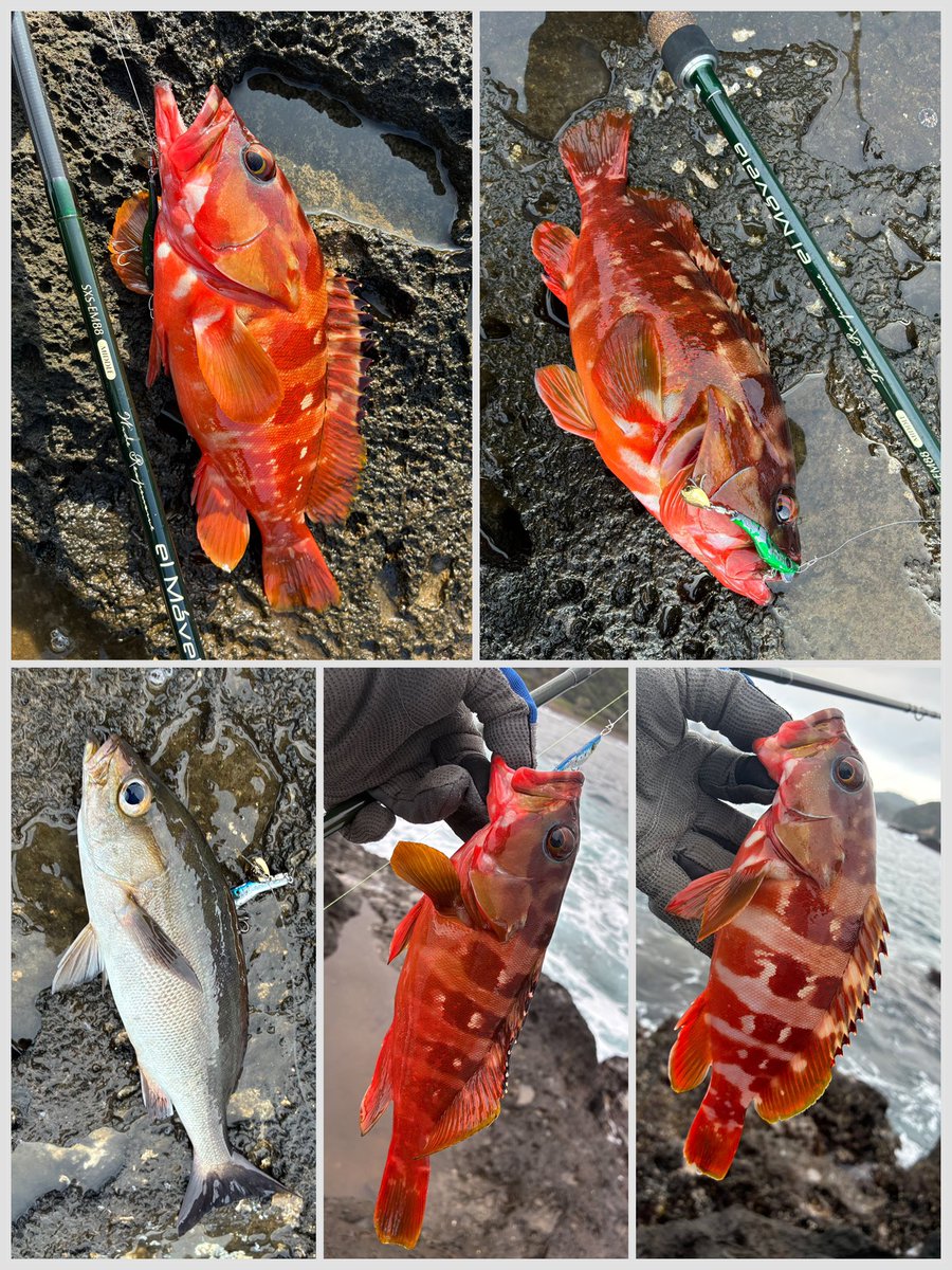 チキュー (@chikyu523) / Posts / X