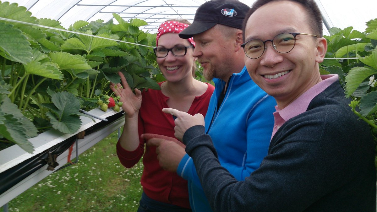 1shareShare1's tweet photo. Finnish strawberries (mansikat) are the undisputed highlight of the Nordic summer. Peak harvest season brings joy to local market stalls while sparking discussions on berry pricing and availability. https://t.co/yhOQmWUPjx