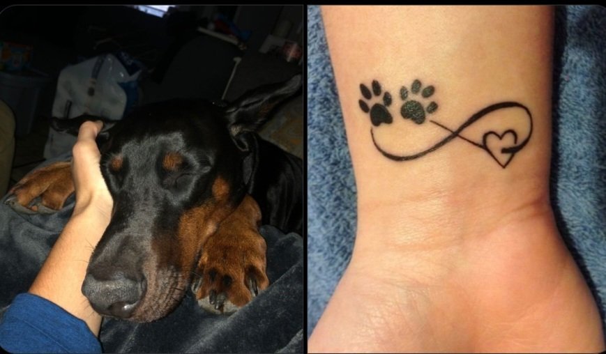 DogsLovelm's tweet photo. If you're obsessed with paws you're in the right place 🔗🐶https://t.co/FWNJoObp8d

#oncknotty #cwknotting #dogknott #dogknotting #ftyknotting #k9  #k9cook #k9dogs #knOttyprincess #knott https://t.co/vK92POEpLQ