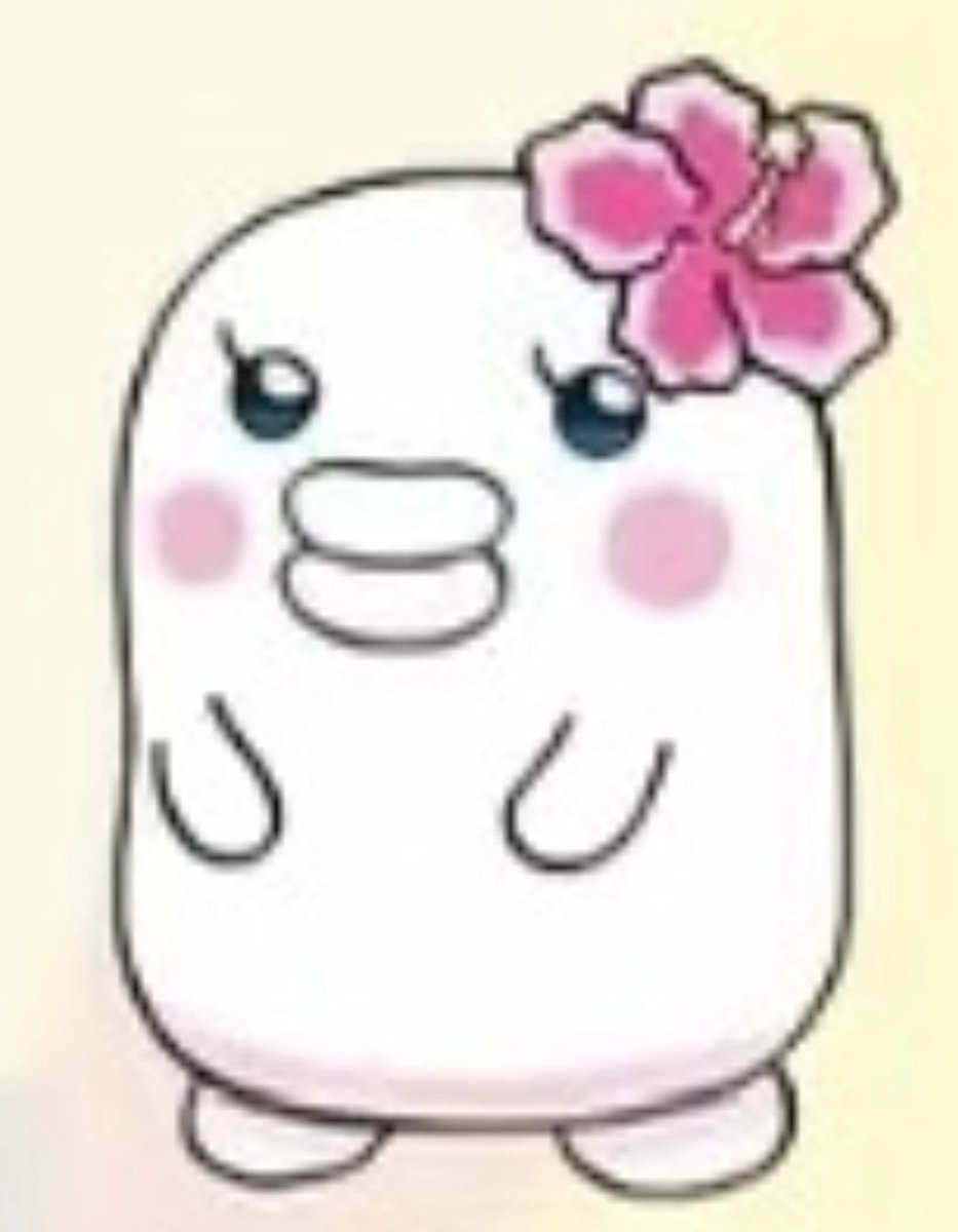 BeiBei_mego's tweet photo. https://t.co/CV7BGIX1QE