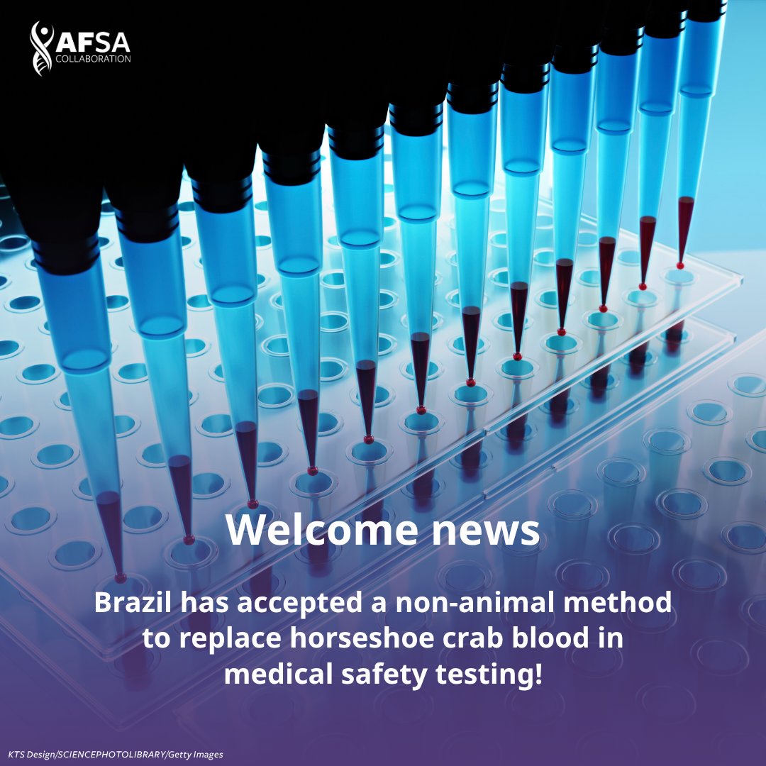 Animal-Free Safety Assessment (AFSA) Collaboration tweet media