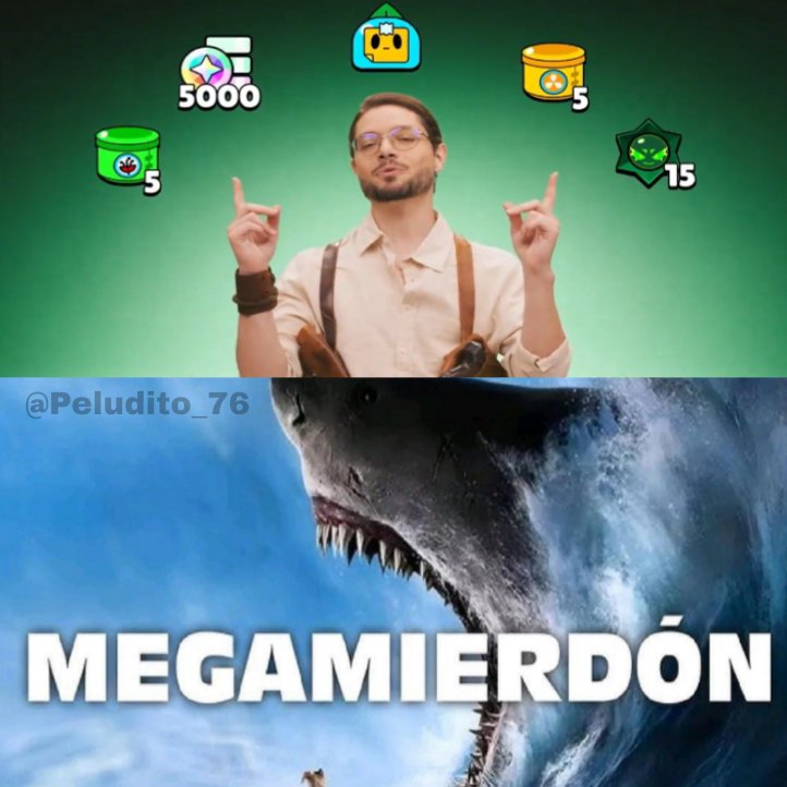 💤 Peludito 76 💤 🏆🌟🌟 tweet media