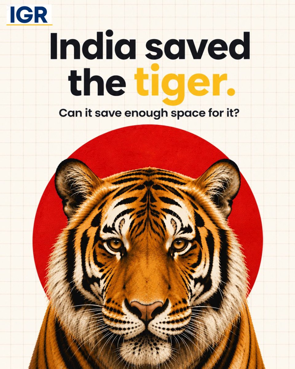 IGR_Media's tweet photo. #IGR: This International Tiger Day, India has one of conservation’s biggest comeback stories to tell.

In 2006, the country had an estimated 1,411 tigers. By 2022, that number had climbed to 3,682, more than doubling in just 16 years. Today, India is home to over 75% of the world’s wild tigers.

The turnaround came through decades of conservation: banning tiger hunting, launching Project Tiger, expanding protected habitats, strengthening anti-poaching efforts and using thousands of camera traps to track individual tigers by their unique stripe patterns.

But success has created a new challenge. Some reserves are approaching ecological saturation, while growing tiger populations increasingly need corridors and forests beyond protected areas.

On International Tiger Day, India’s tiger story is no longer simply about saving the species.

It’s about finding enough space for the tigers it successfully brought back.