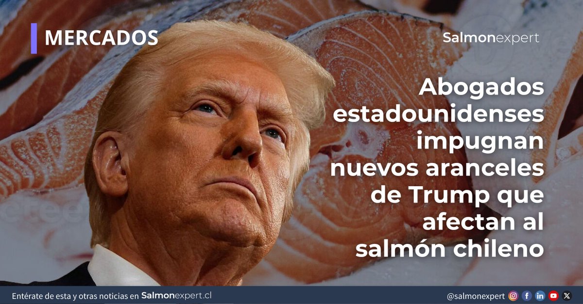 salmonexpert's tweet photo. La estrategia para enfrentar los nuevos aranceles no sólo avanza por la vía diplomática. En EE.UU, una impugnación judicial busca cuestionar la legalidad de la medida, lo que podría influir en su futuro y en sectores exportadores como el salmón chileno.

https://t.co/yspNONFO6b https://t.co/cWGiv6xxiy