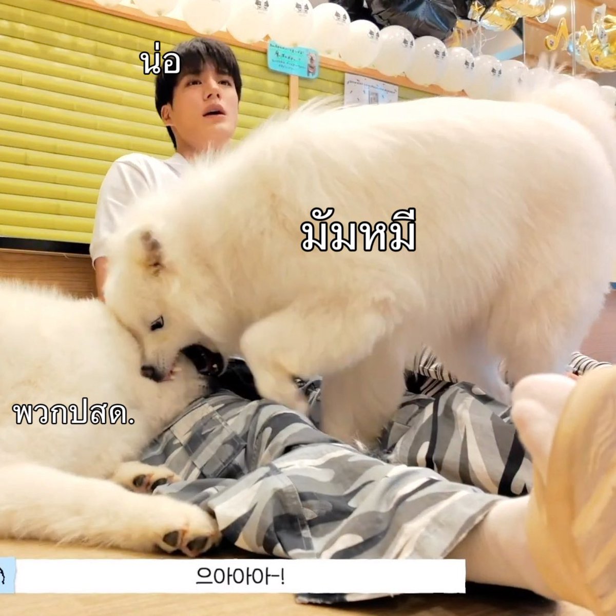 23smiley02's tweet photo. ภาคต่อน่อเผลอ https://t.co/uF4jpQjyz0