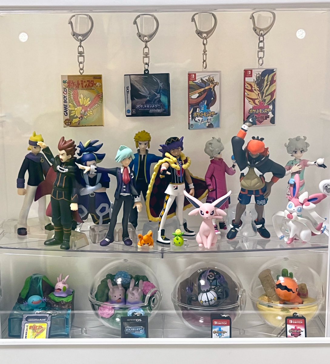 nckjtl's tweet photo. そこまでの揺れは感じなかったけど、帰宅したらロトムのぬいが落ちてて、改めて確認したらキバナさまとセキさんとダイゴがケース内で倒れてた😣💦 https://t.co/kD29iJ4zVK