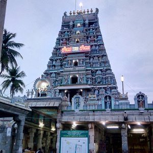 trramesh tweet media