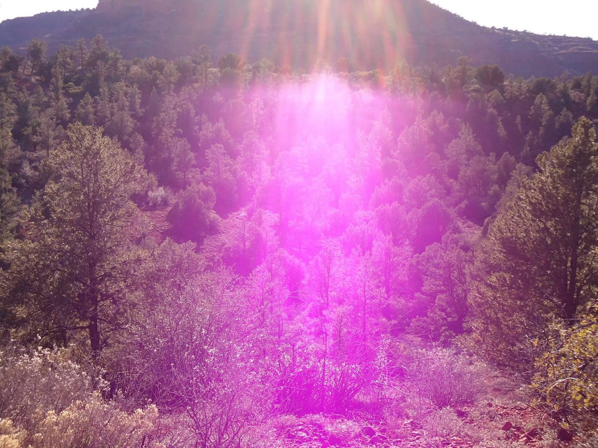 771starseed's tweet photo. Debra: How do we face our own shadow in the least painful way?

Cobra: Simply be an observer. Do not get too identified with the shadows when they surface. Just observe them, watch them, and focus upon the Light. And you can just release them with the Violet Flame. https://t.co/PeEX7odIzy