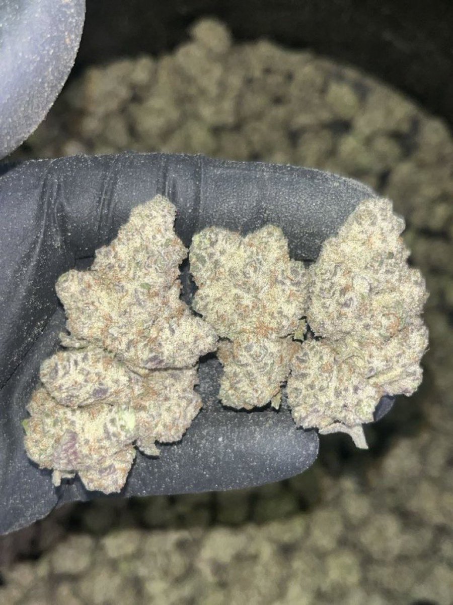 HempSup420's tweet photo. Fruity Pebbles ✈️🔥💯📦

P: $800
Text: +1 7653352982

https://t.co/E25bbdXD4l https://t.co/ji3Ygvcrmp