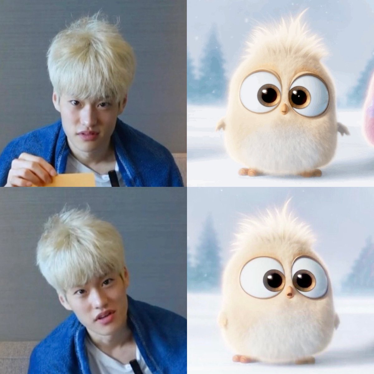 pekkleeoe's tweet photo. THE CUTEST THING EVER  🐥💭 https://t.co/6YrWzCZGP3