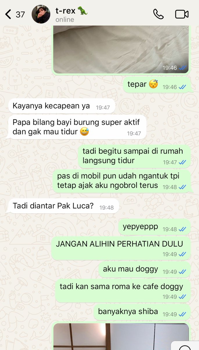 nodisturbyou's tweet photo. #markhyuck three tweets au

adopt doggy baru
———from herture. https://t.co/fJJcJa2DvT