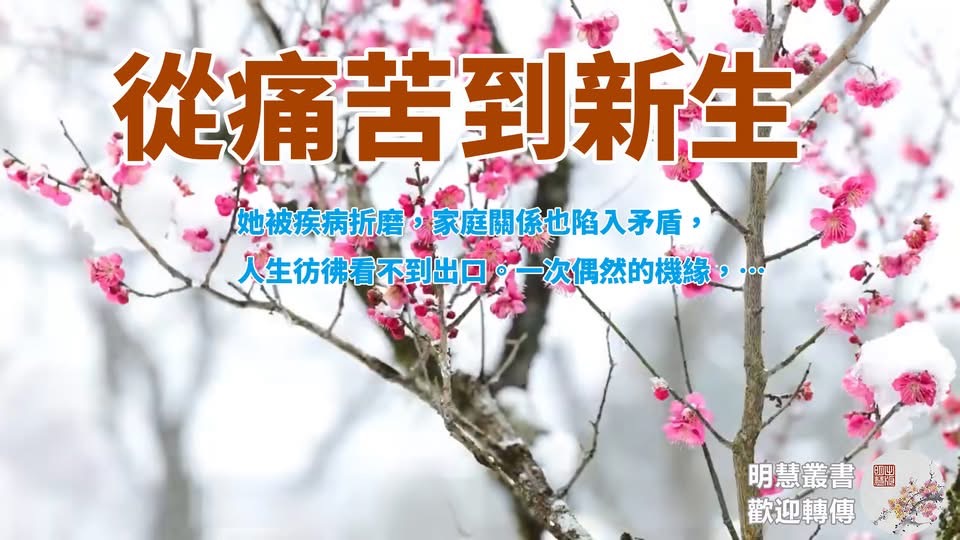Jenn5791's tweet photo. 從痛苦到新生🌈🌈
曾經,她被疾病折磨,家庭關係也陷入矛盾,人生彷彿看不到出口。一次偶然的機緣,讓她走上一條改變生命的路。多年後,不僅自己身心受益,家人也在生活中感受到溫暖與轉變。
#善惡因果, #falundafa, #falungong, #falundafaisgood, #文化頻道 , #法輪大法, #真善忍, #明慧叢書,#大法真相#得福報
文章連結:https://t.co/ZUW8a9obWs
來源:明慧網