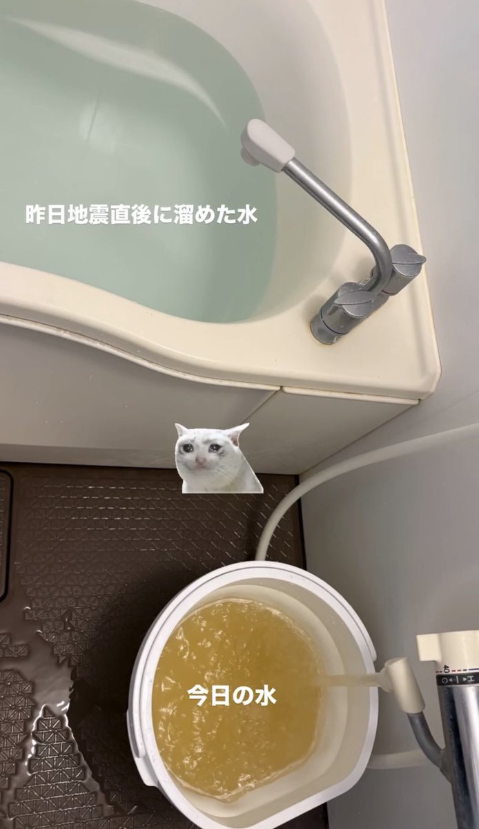 ochacoconut84's tweet photo. うちの水の濁り具合の比較です😖 https://t.co/vSqHHiaWWk