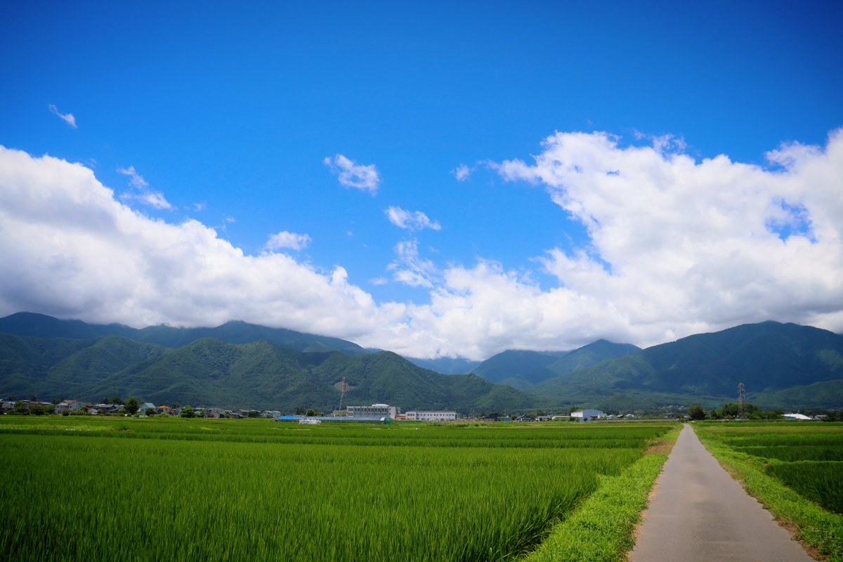 E2vvJj's tweet photo. 長野県 安曇野を自転車で走りました

長い夏が、始まった https://t.co/HgqIE3Eq8p