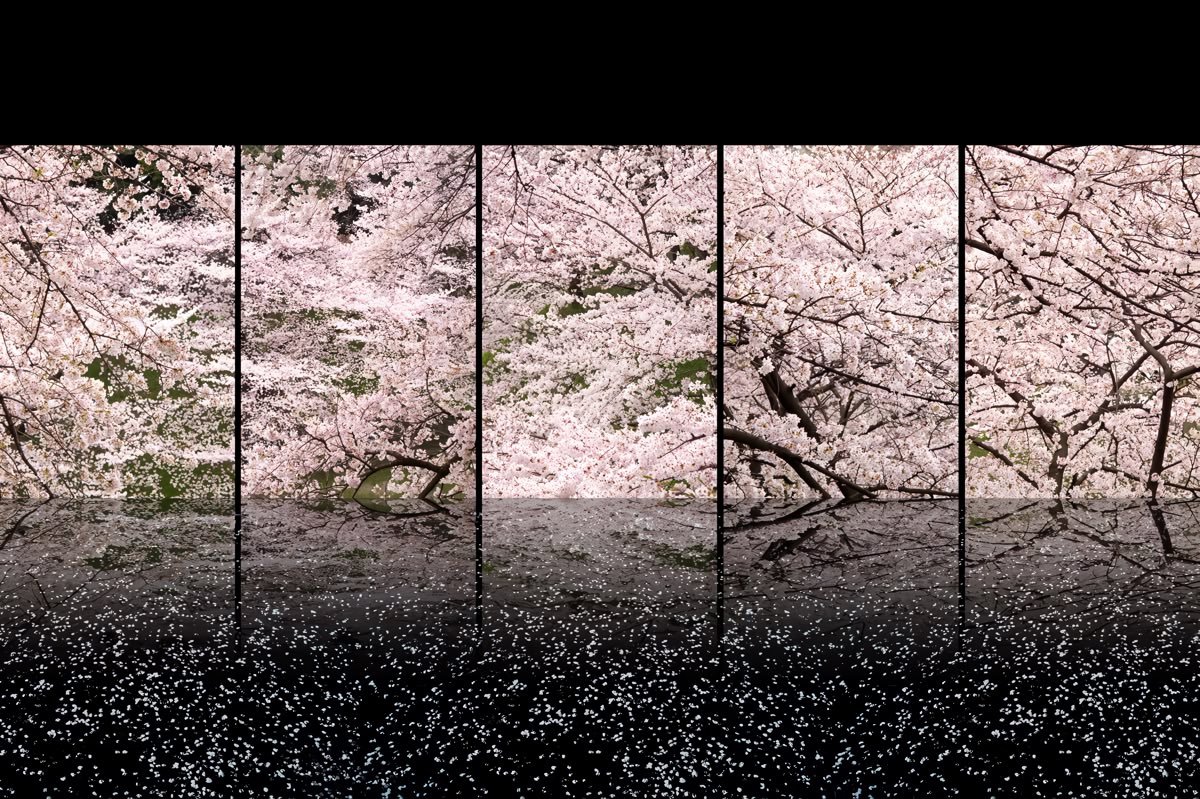 orbivelle's tweet photo. four seasons in japan https://t.co/bJYGAB9bzh