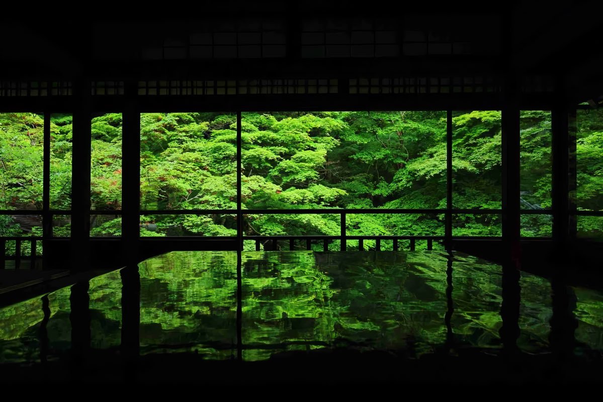 orbivelle's tweet photo. four seasons in japan https://t.co/bJYGAB9bzh