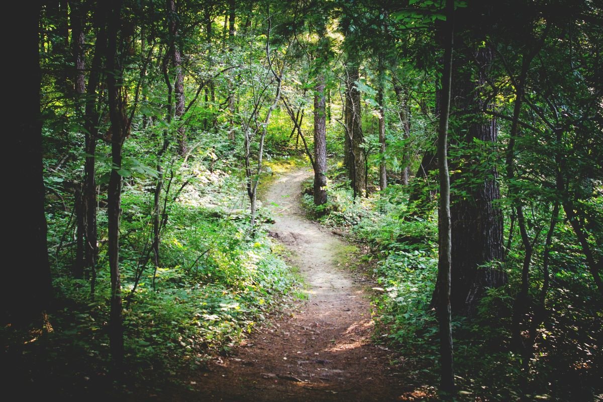 MainLineToday's tweet photo. In the mood for a trek around the Philadelphia suburbs? These local spots vary in difficulty and come with stunning views of the region. Link in the first comment. 

#mainlinetoday #hikes #outdoors https://t.co/RYJGWBPNnp