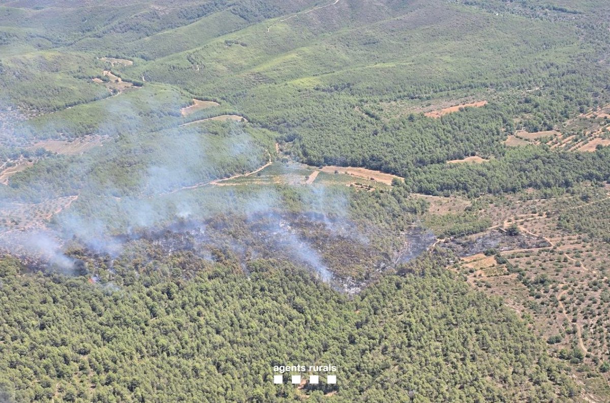 agentsruralscat's tweet photo. ℹ️🔥 L’incendi iniciat al terme municipal de Montferri (Alt Camp) afecta una superfície aproximada d'11,5 hectàrees, segons dades provisionals d’#AgentsRurals. https://t.co/5i4kes8Wai