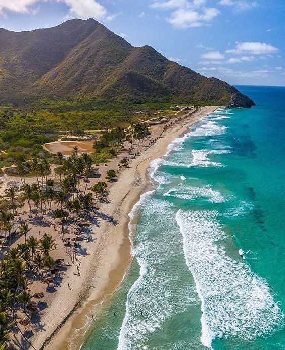 GianlucaCoccon1's tweet photo. Maravillosa 
CUYAGUA hermosa playa ubicada dentro del Parque Nacional Henri Pittier en el Edo Aragua VENEZUELA 
🇻🇪🇻🇪🇻🇪🇻🇪🇻🇪🇻🇪🇻🇪🇻🇪🇻🇪🇻🇪🇻🇪
@venezuelaenfoto https://t.co/yu8R96mp0T