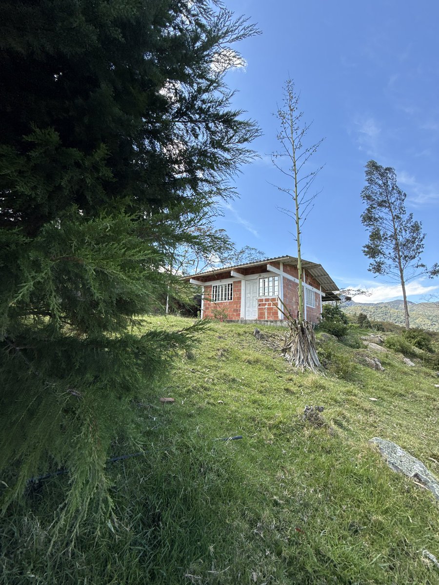 juveri13up's tweet photo. 🏡 VENDO CASA DE CAMPO EN CHINÁCOTA – TU LUGAR ENTRE LA NATURALEZA

✅ Todo lo que incluye:
📍 Terreno amplio de 1.477 m²
🏠 Casa pequeña lista para habitar: 2 habitaciones, cocina y baño
🌿 Entorno privilegiado: rodeado de naturaleza, paisajes hermosos y vistas excelentes https://t.co/0BGt1mE9aJ