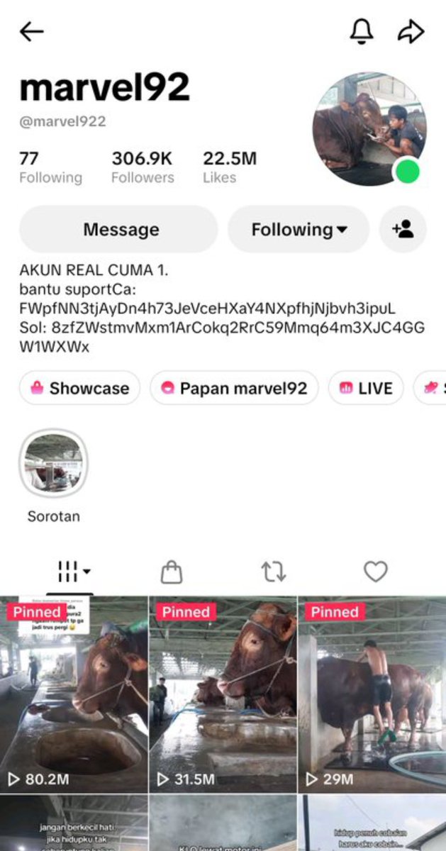 peputhewhite tweet picture