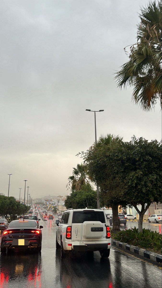 nx5vi's tweet photo. July in Abha❤️❤️❤️❤️❤️ https://t.co/zqeRjJdcPX