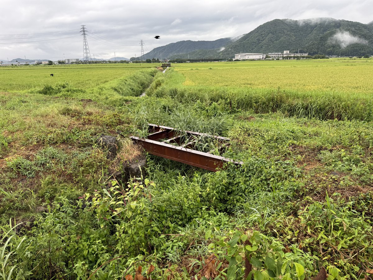 memo_hako's tweet photo. 同じく福井鉄道南越線の北村〜五分市間にある小さな橋梁跡
2026.7.28 https://t.co/bbHsWdd2NV
