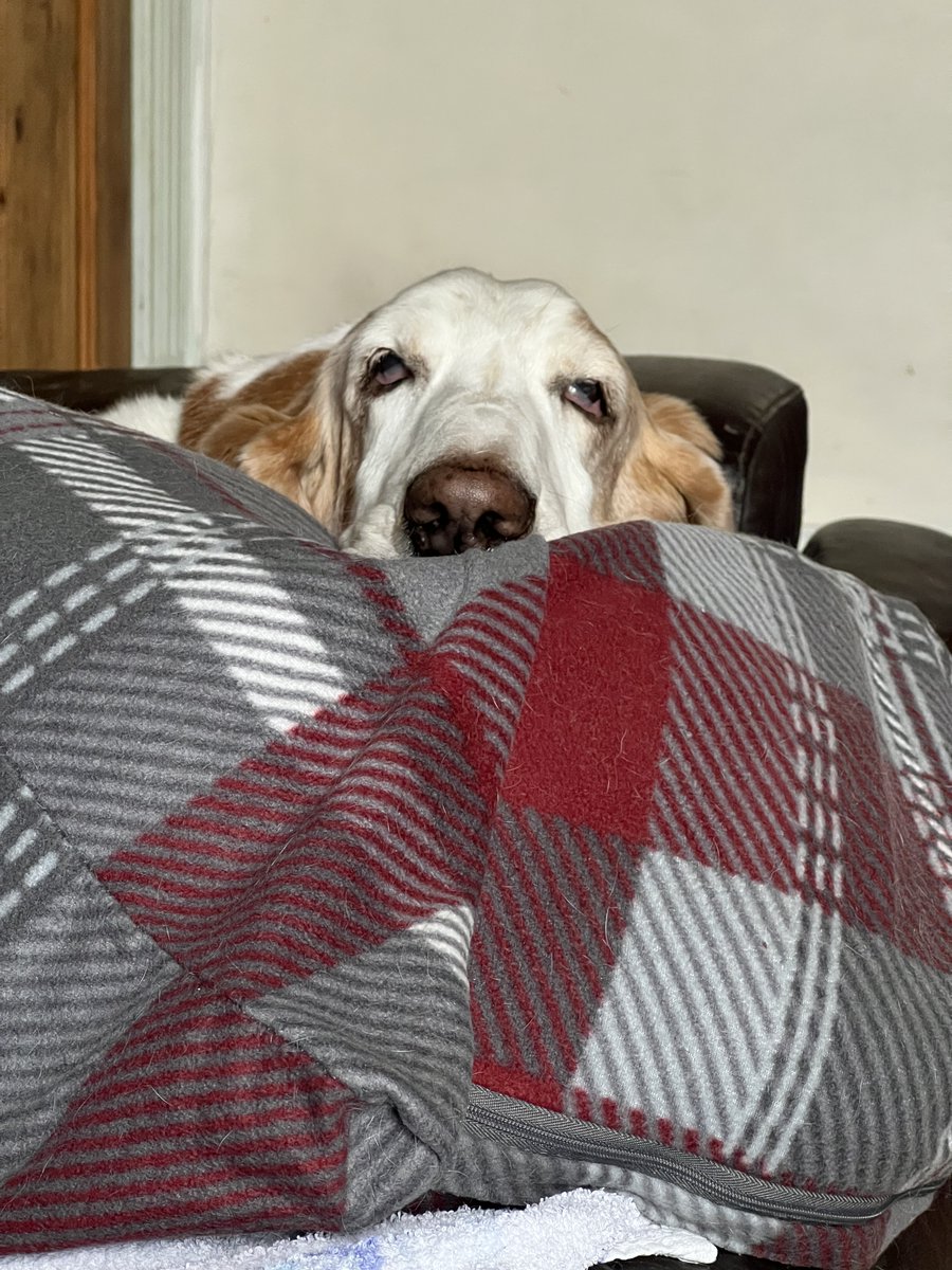 PR Hound 🐶 + 🎮 = 🦸 tweet media