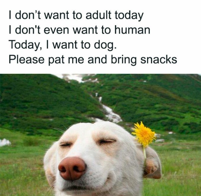 FatmemesX's tweet photo. https://t.co/Ge08yNGBn7