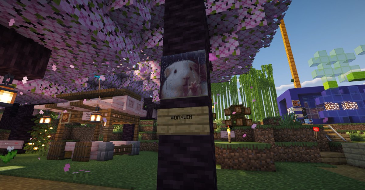 hamwangho's tweet photo. miserable ham #drxwin #offseasonsmp https://t.co/A1c1DpRfXH