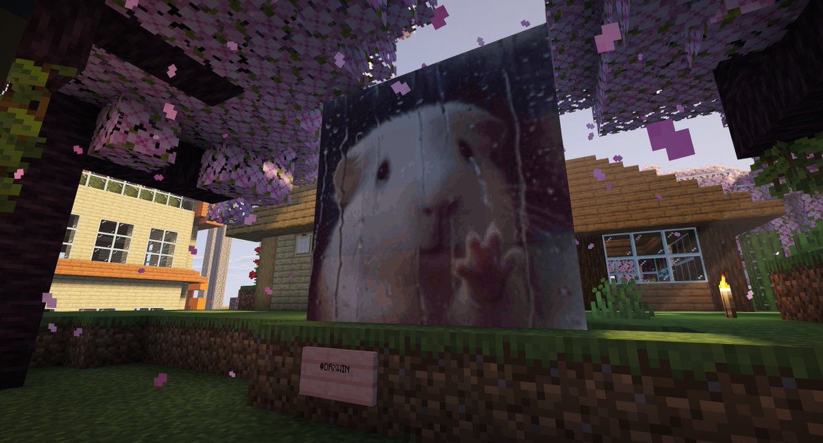 hamwangho's tweet photo. miserable ham #drxwin #offseasonsmp https://t.co/A1c1DpRfXH
