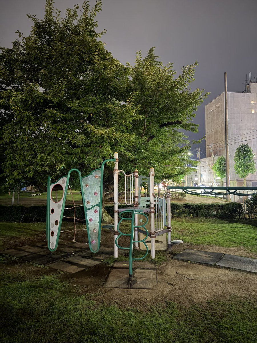 mit78709's tweet photo. 夜の公園 https://t.co/u1UfTXZW0s