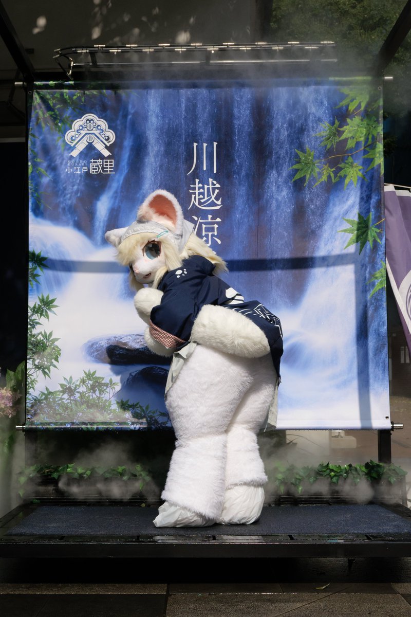 Lapin_Z4's tweet photo. 疲れたからふぃにゃのおちりでも見るか...（？）
おやすみ https://t.co/vx4gRn7a7g