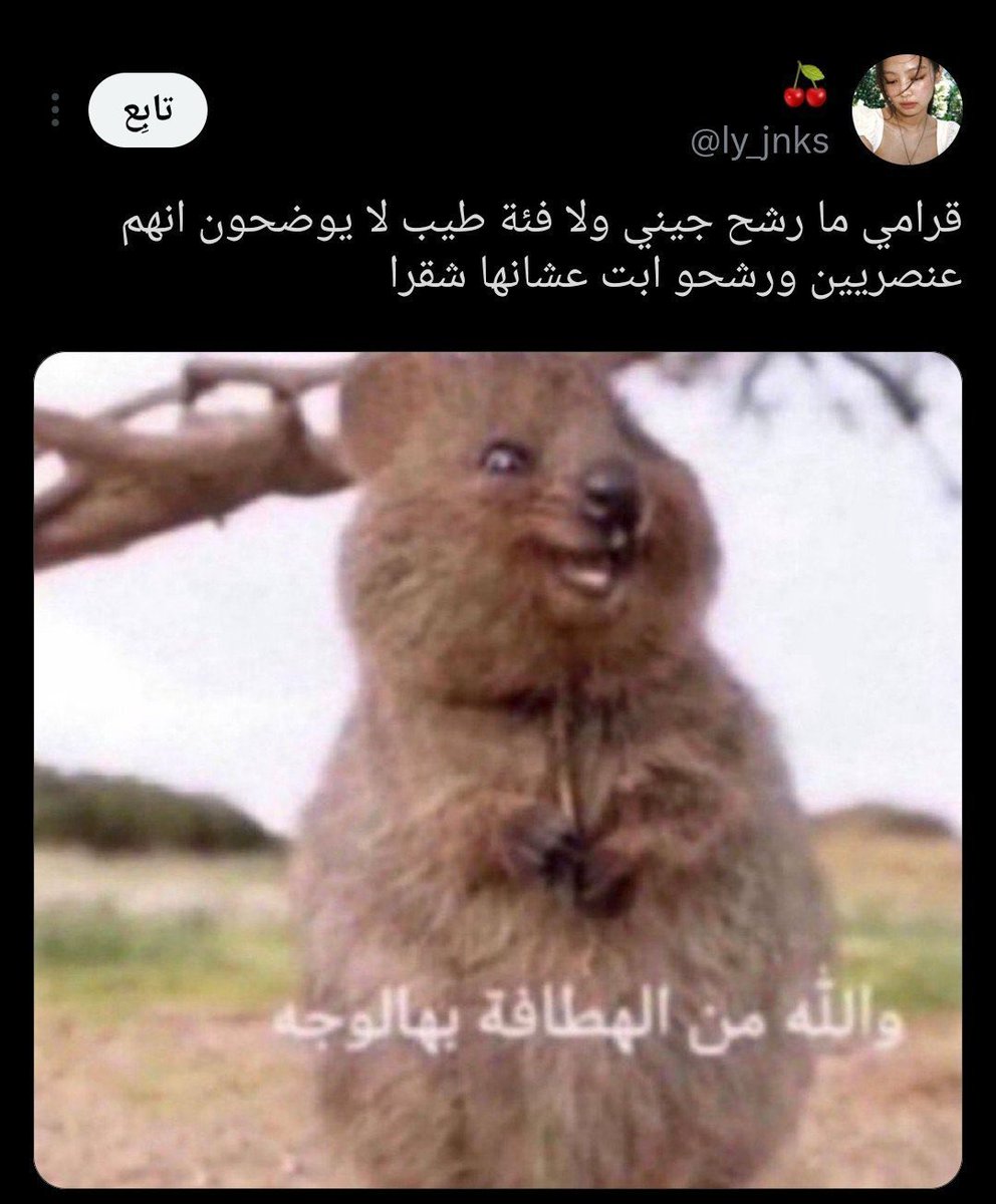 ppiiier98's tweet photo. للقندس تحلم https://t.co/dG5P6tYuxa