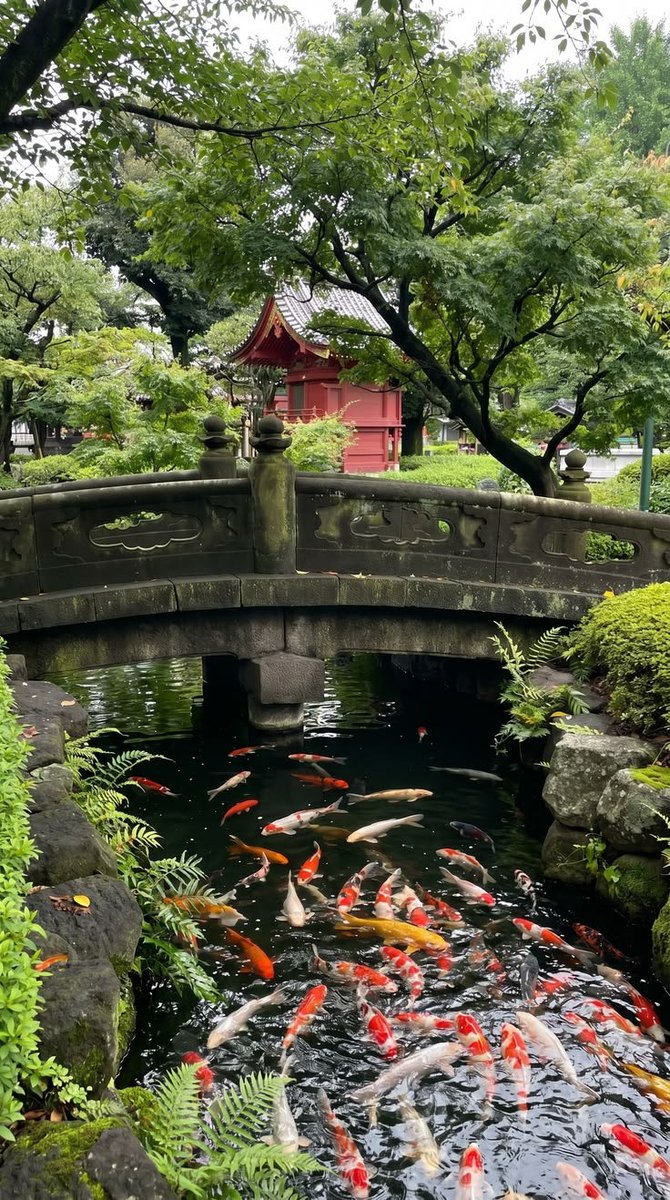 oceannvibe's tweet photo. Japan https://t.co/hjDZFKZNid